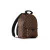 LOUIS VUITTON Ladies Palm Springs Backpack