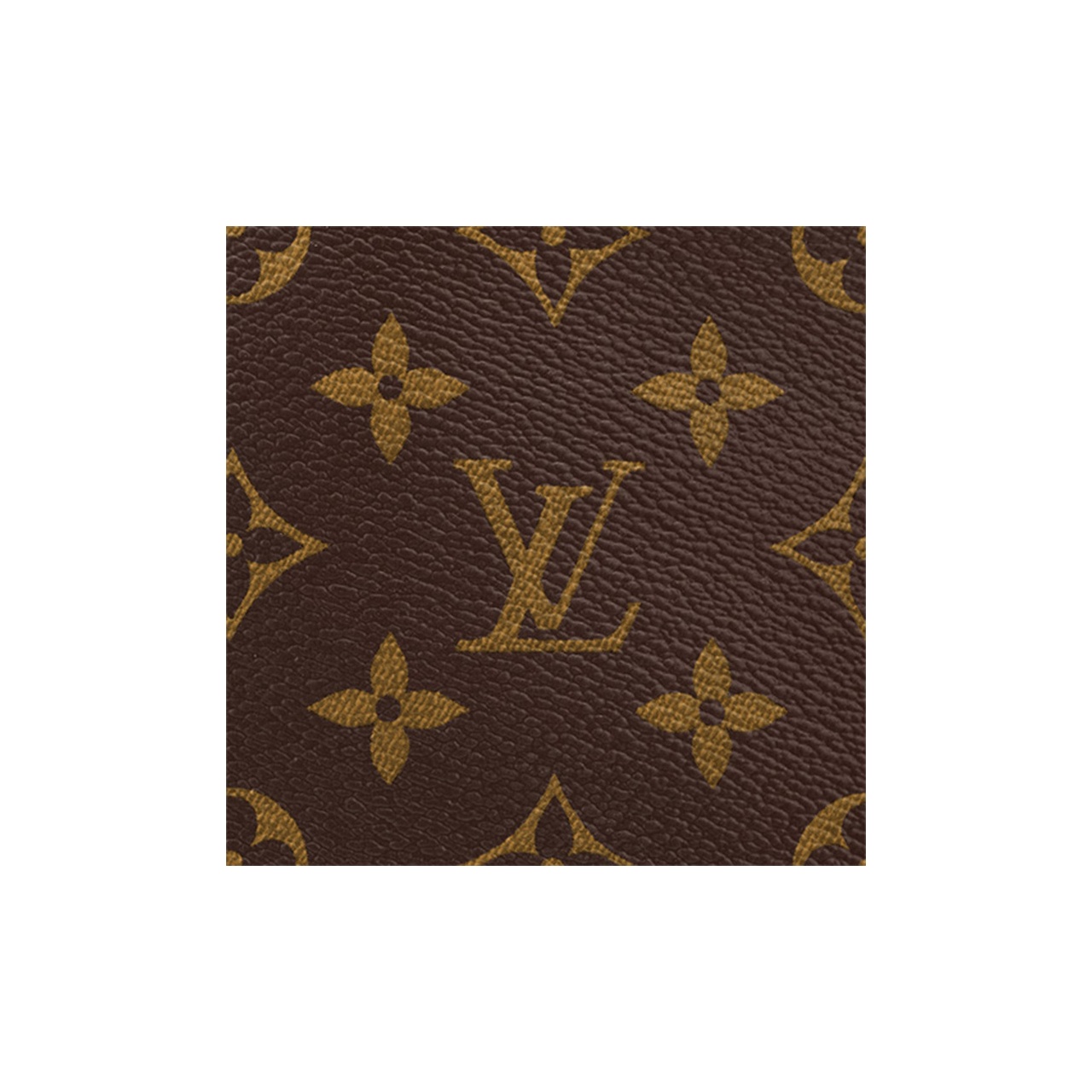 LOUIS VUITTON CarryAll PM shoulder bag