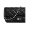 CHANEL 21K winter messenger bag