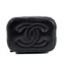 CHANEL 23C early spring messenger bag