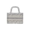 DIOR BookTote handbag
