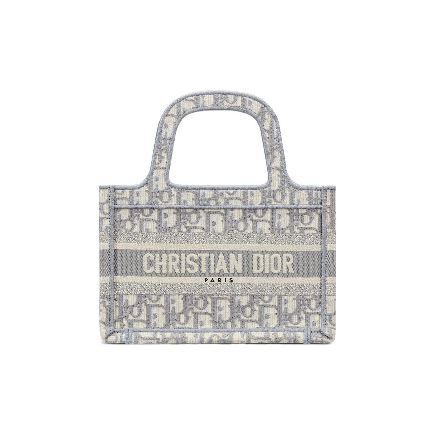 DIOR BookTote handbag