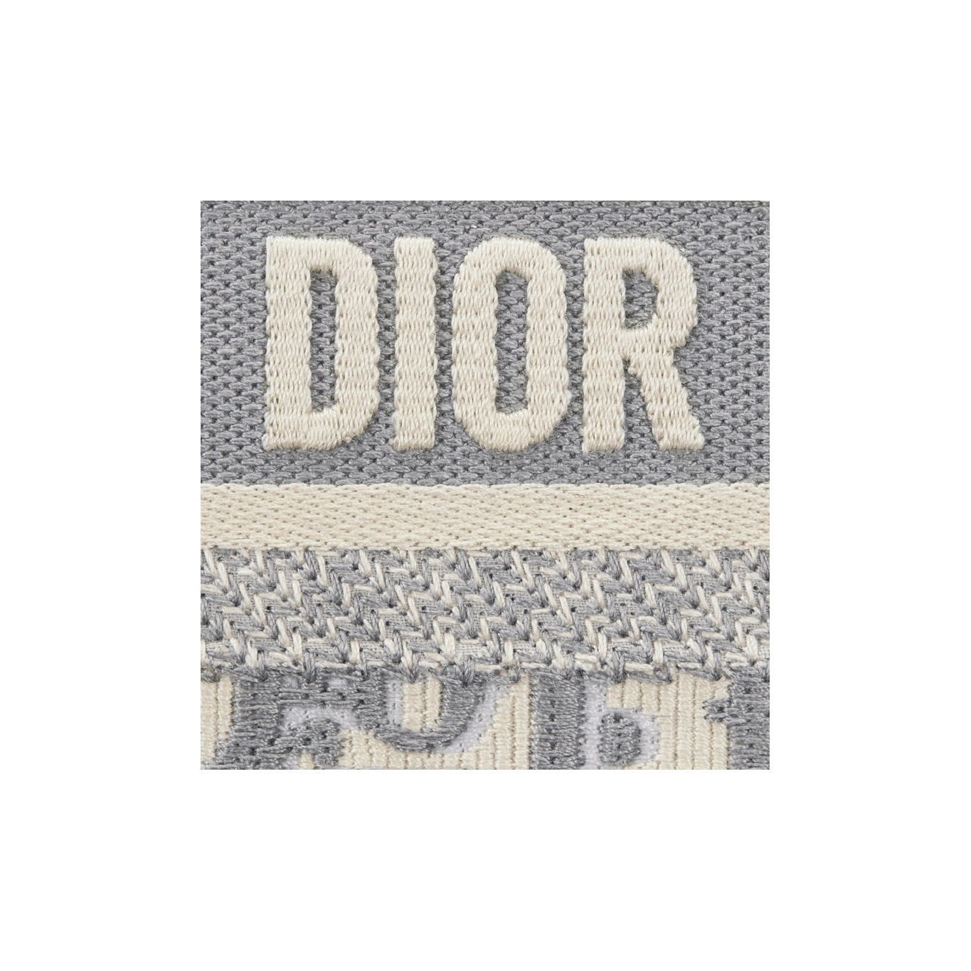 DIOR BookTote handbag