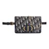 DIOR 30 Montaigne fanny pack