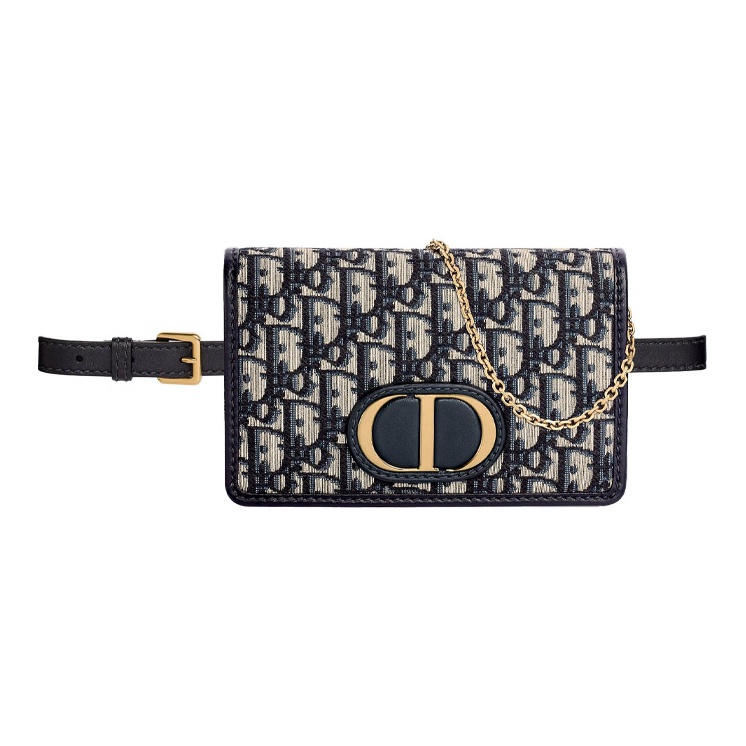 DIOR 30 Montaigne fanny pack