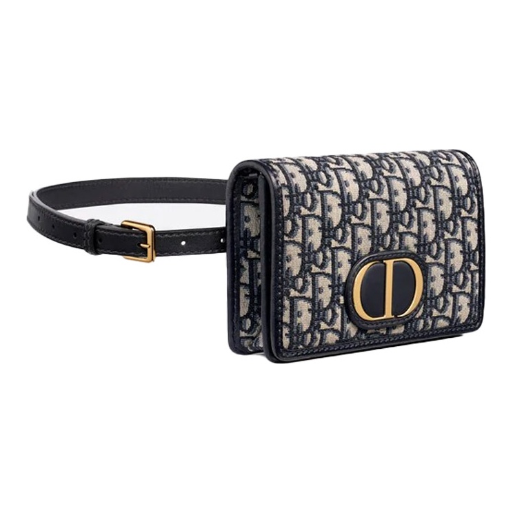DIOR 30 Montaigne fanny pack