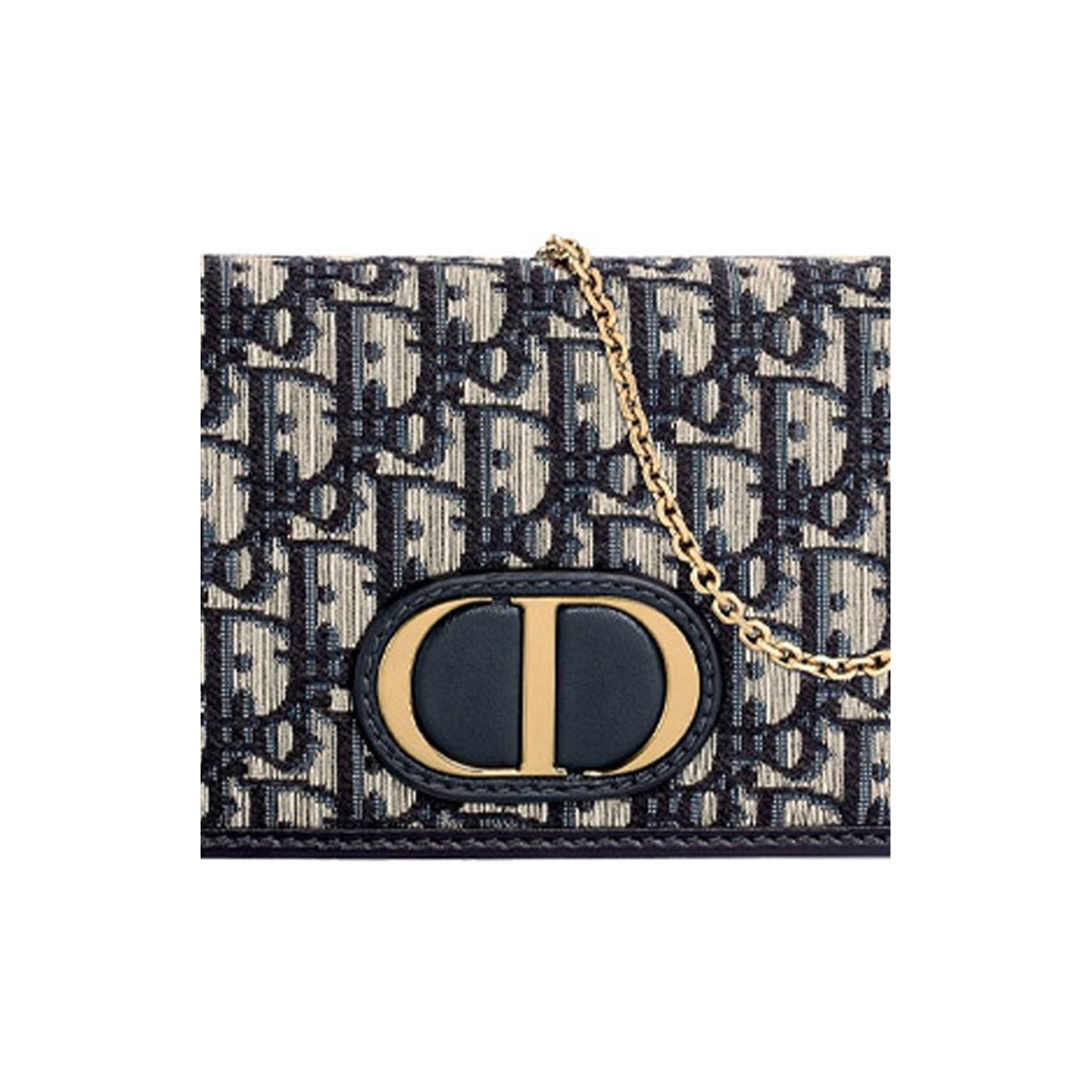 DIOR 30 Montaigne fanny pack