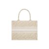 DIOR BookTote handbag