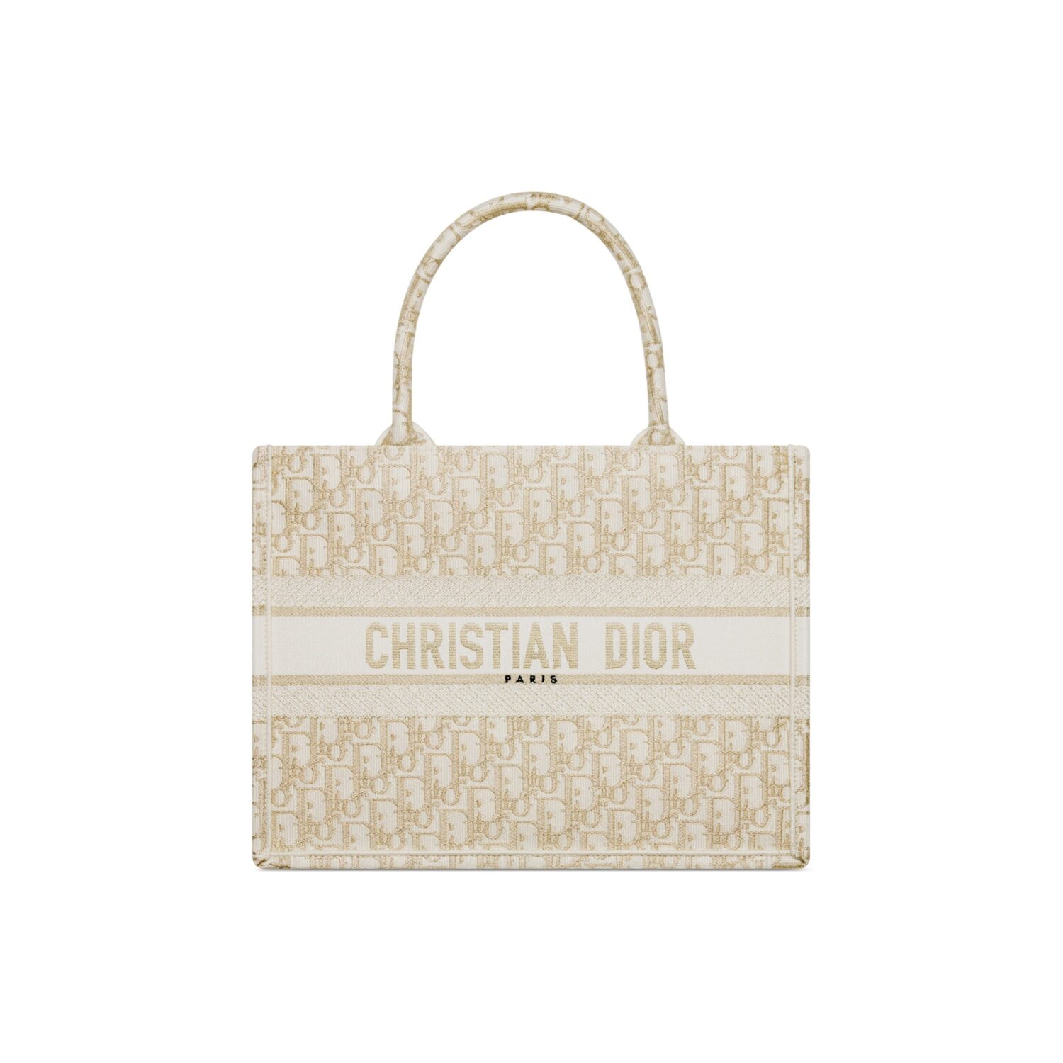 DIOR BookTote handbag