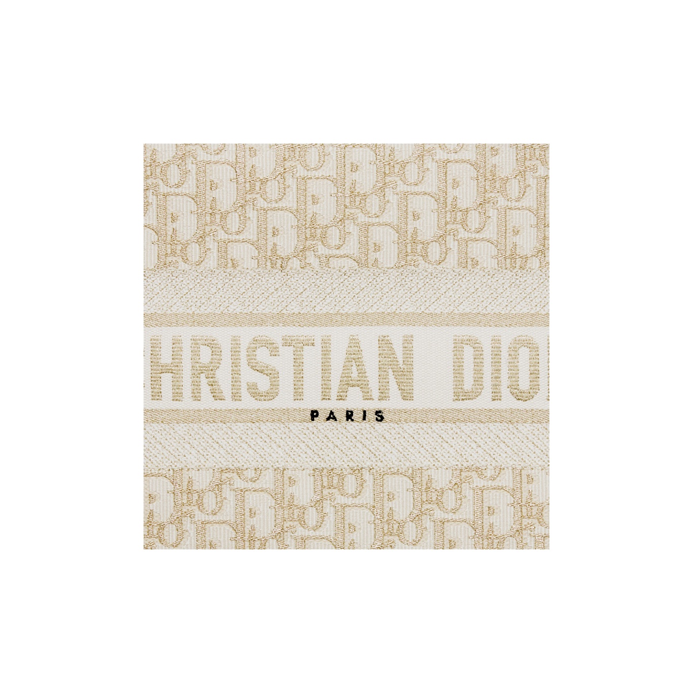 DIOR BookTote handbag