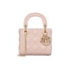 Ladies DIOR handbag