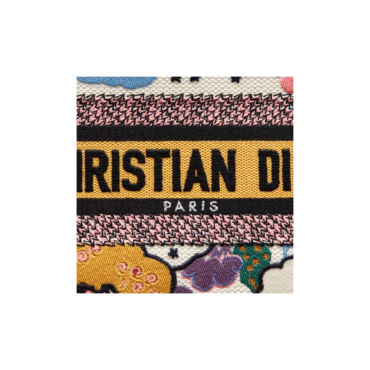 DIOR BookTote handbag