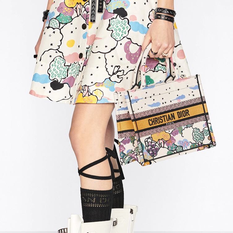 DIOR BookTote handbag