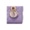 DIOR Lady D-JOY Handbag