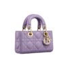 DIOR Lady D-JOY Handbag